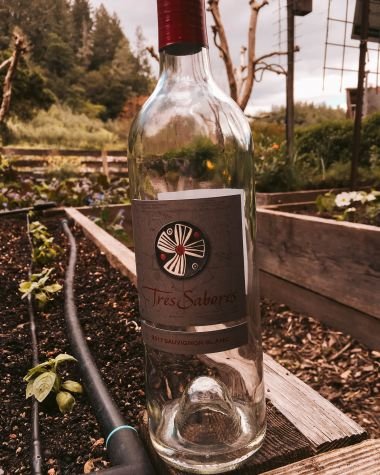 Winexperience: Tres Sabores organic vineyard in Napa Valley